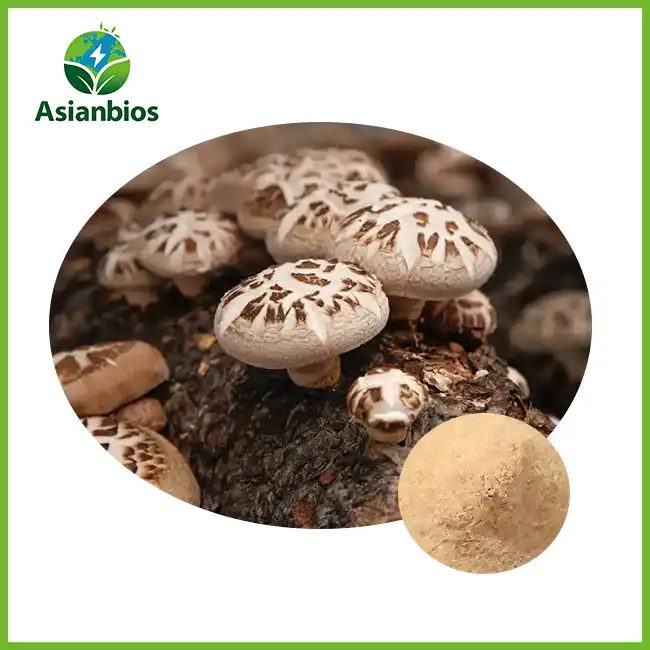 Bulk Shiitake Mushroom Powder